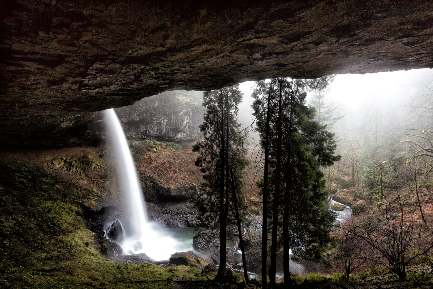 From underneath the North Falls in Silver Falls State Park outside of Salem, Oregon.