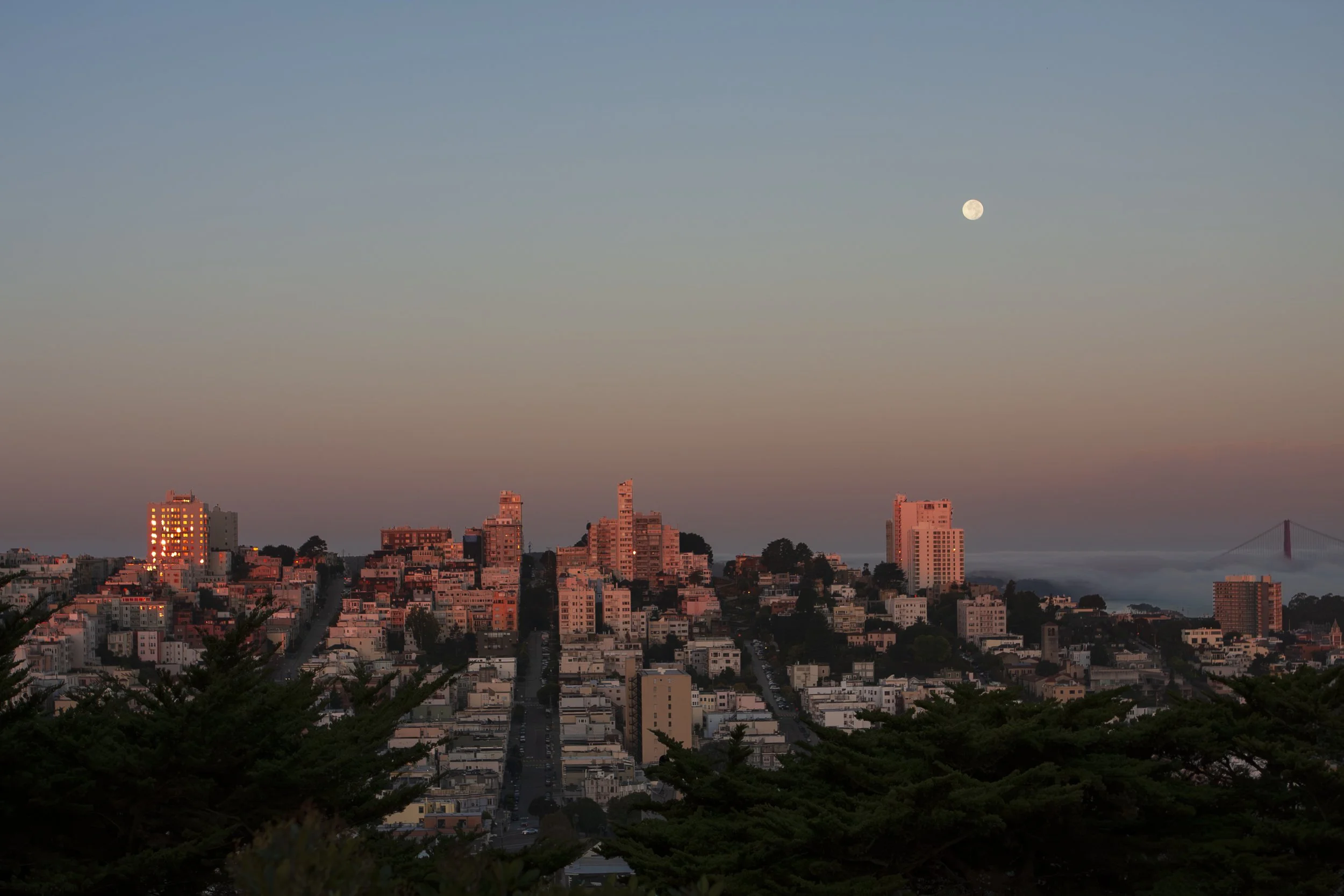 #15 Alpenglow in the City