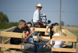  Our owner &amp; founder—Mark—driving one of our vintage tractors for the hay ride to the pumpkin field  