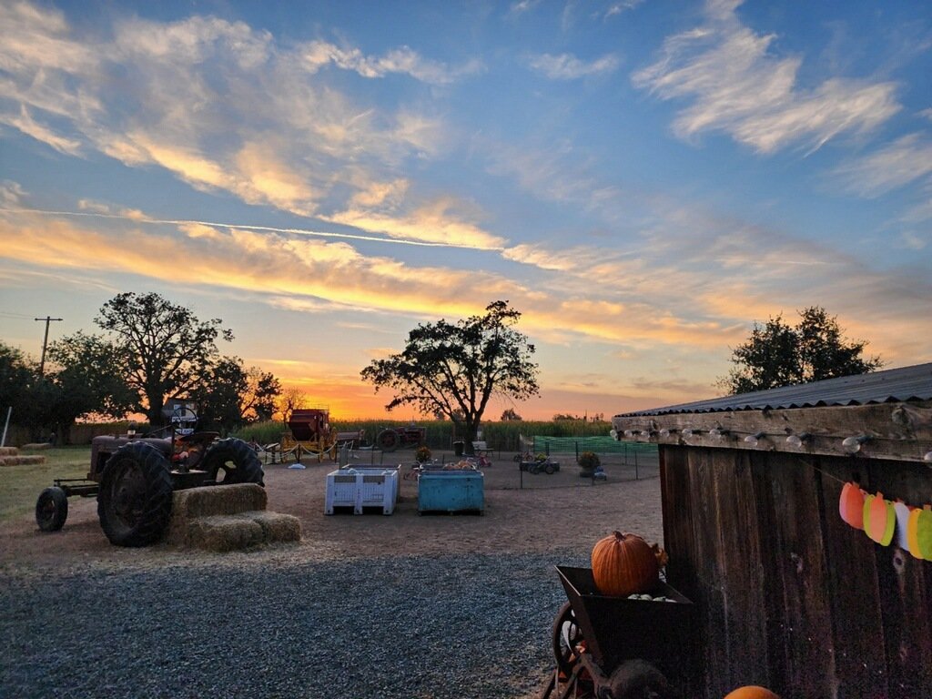  Sunset over the farm  