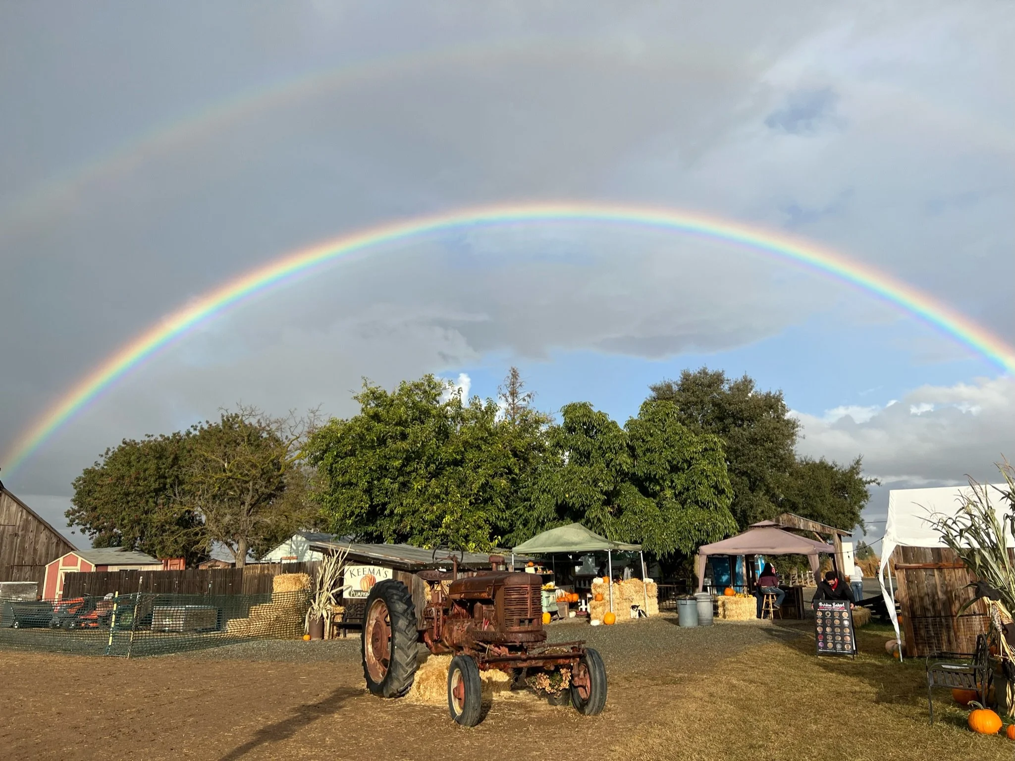 Weekend Vendors 