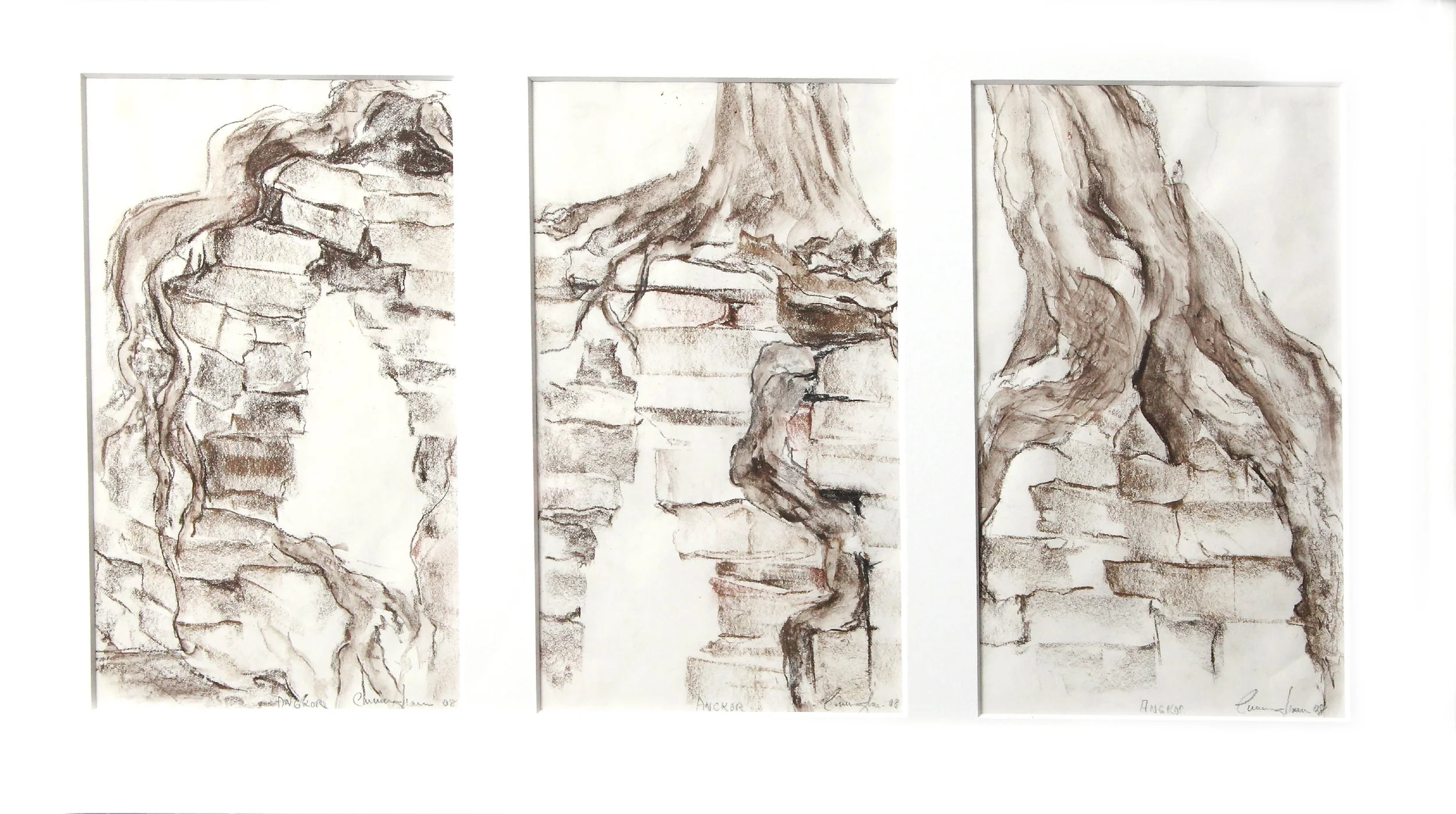 Angkor Irrigation Structures