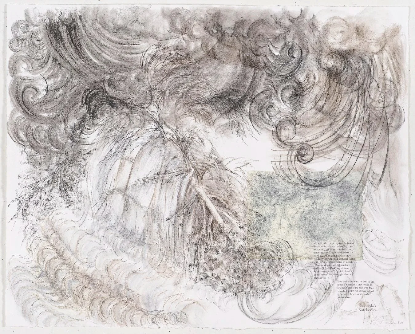 “After Leonardo Da Vinci’s “Deluge over Falling Trees”, black chalk, 1515 hard pastel with photo transfer of Leonardo reproduction, Rives BFK archival paper 73 cm x 92 cm, 29” x 36” 2019
