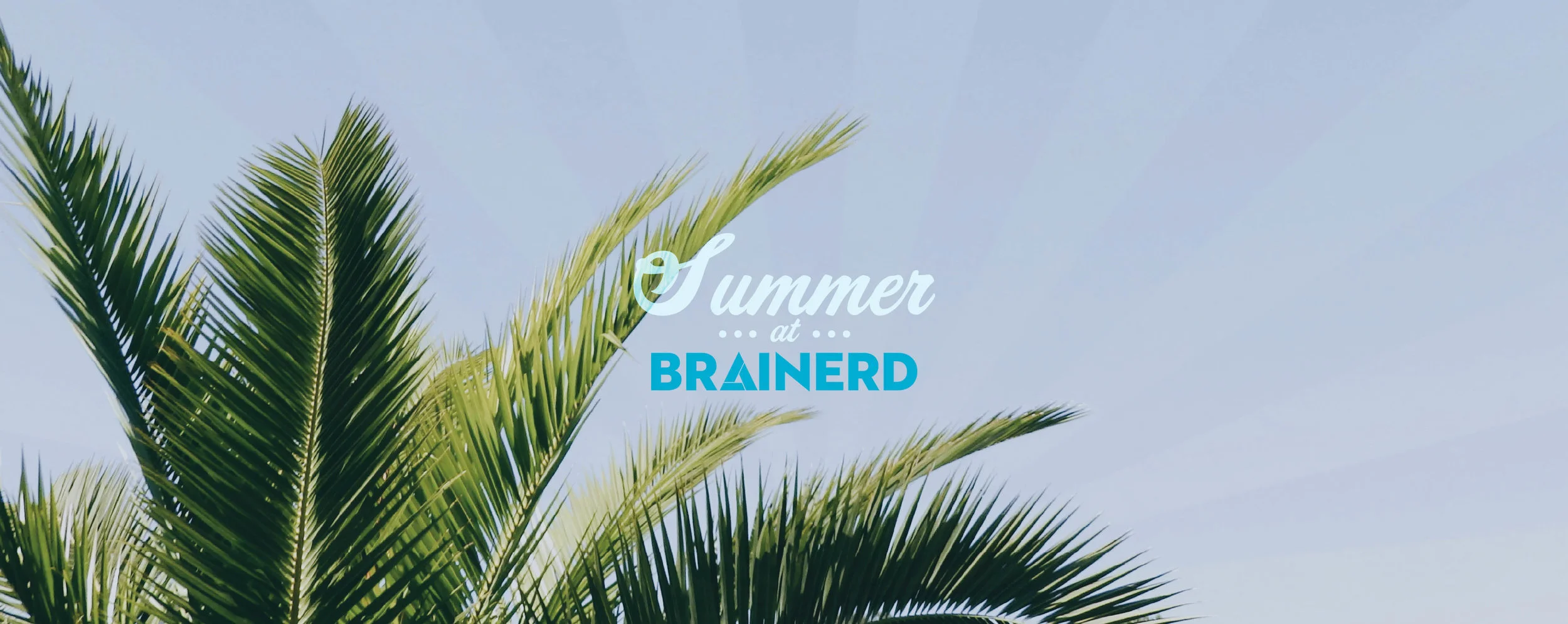 SummerAtBrainerdWebSize.jpg