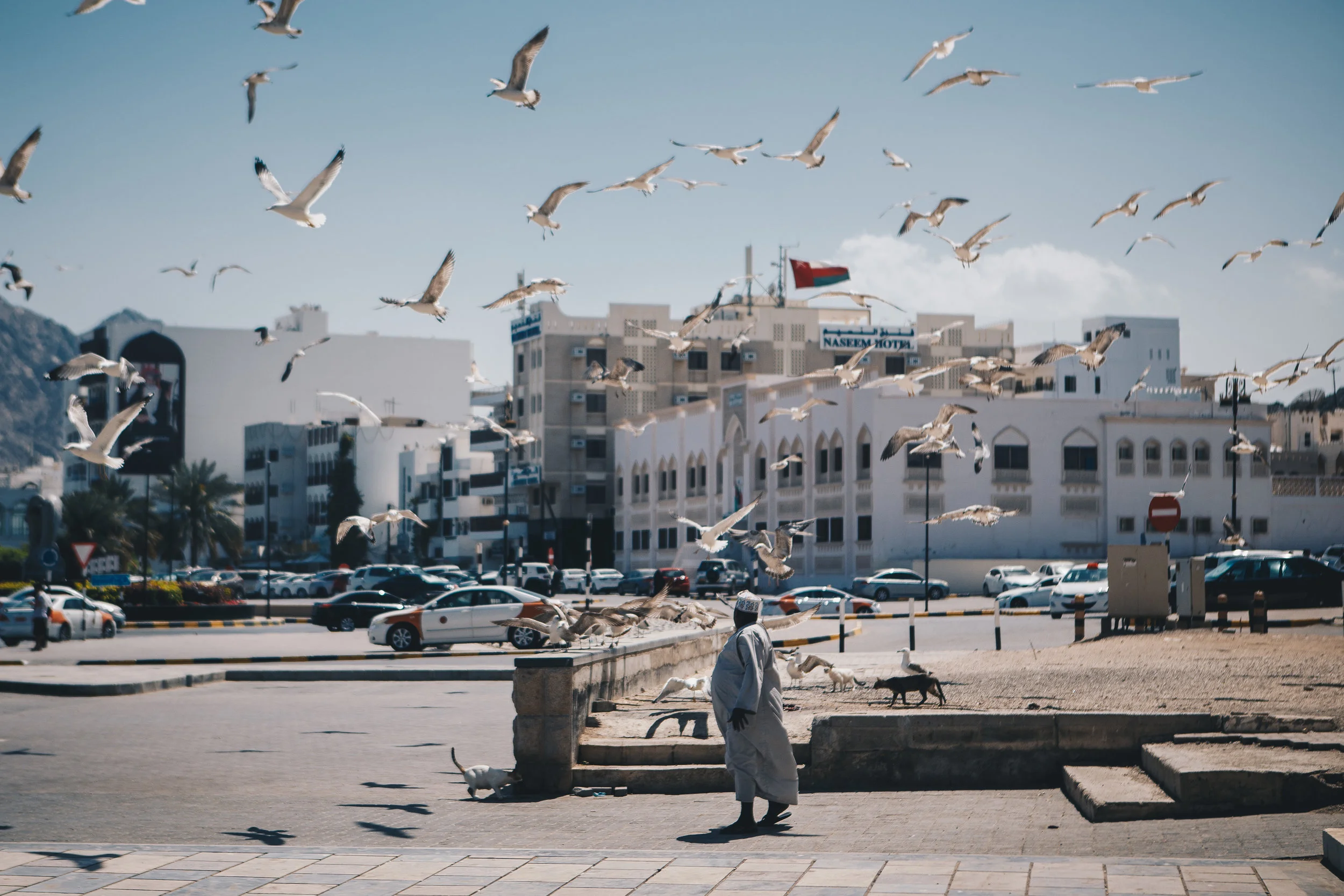 muscatday2-2.jpg