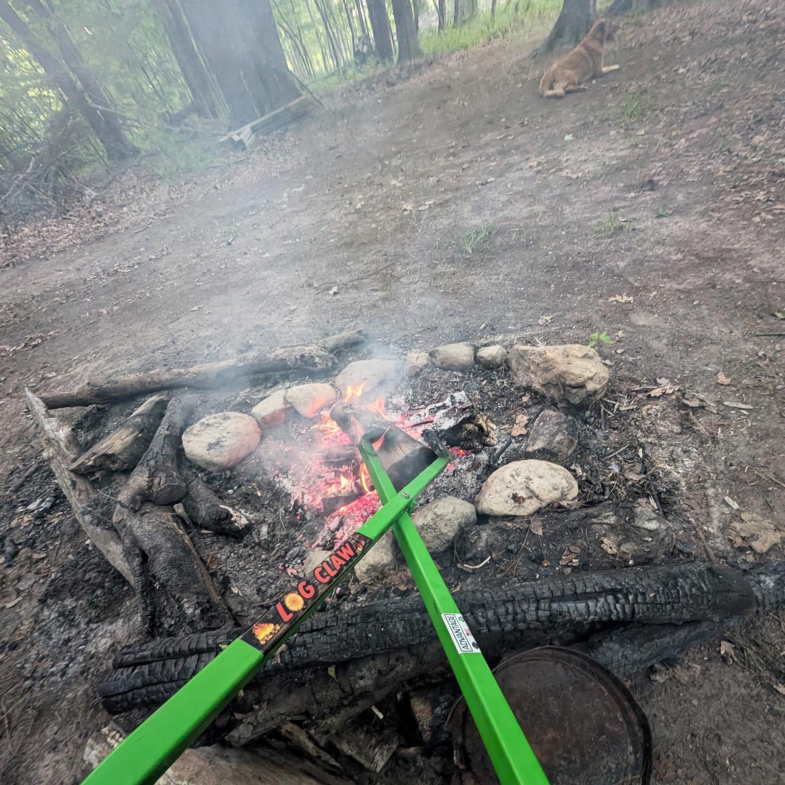 45 inch Log Claw Ultra Tropical Lime Green gripping burning log in campfire — American-made heavy-duty steel fire pit tongs