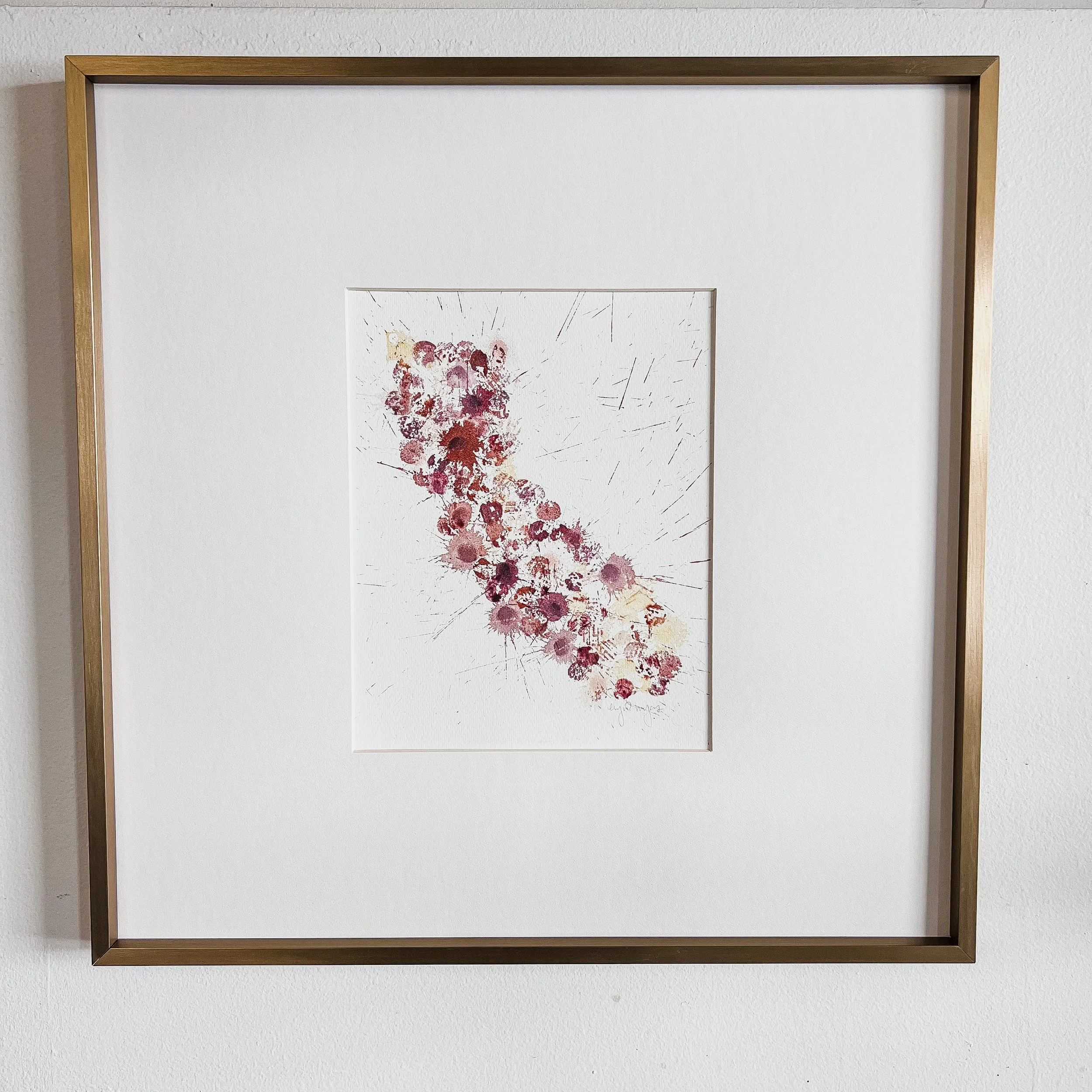 framed california sharpened.JPG