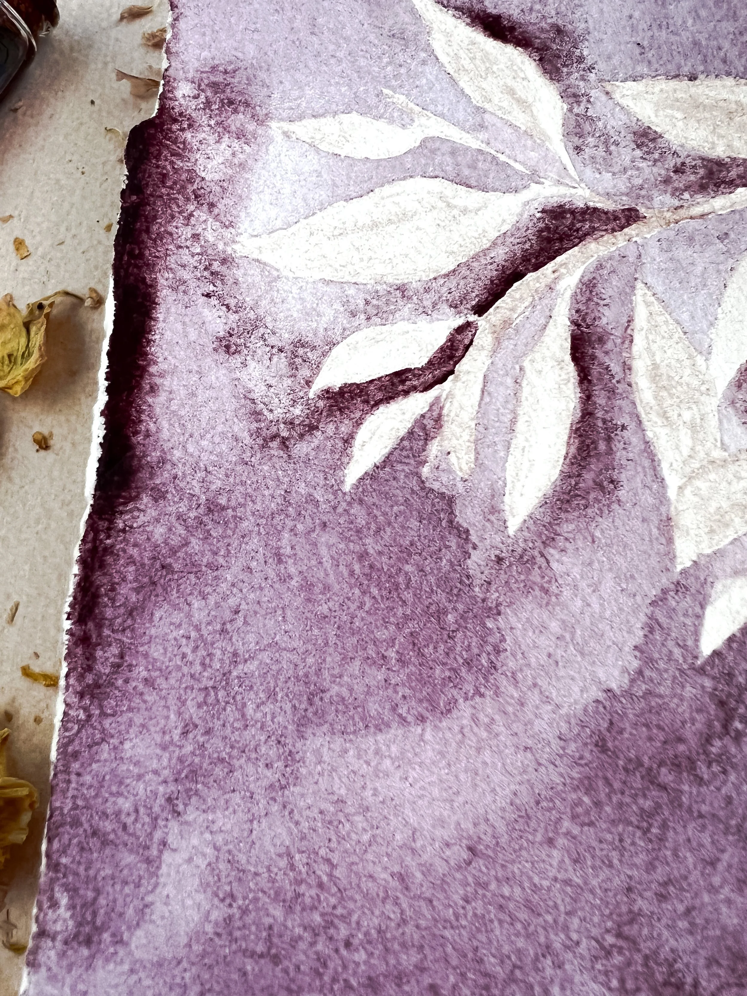 pruning in the winter 4.JPG