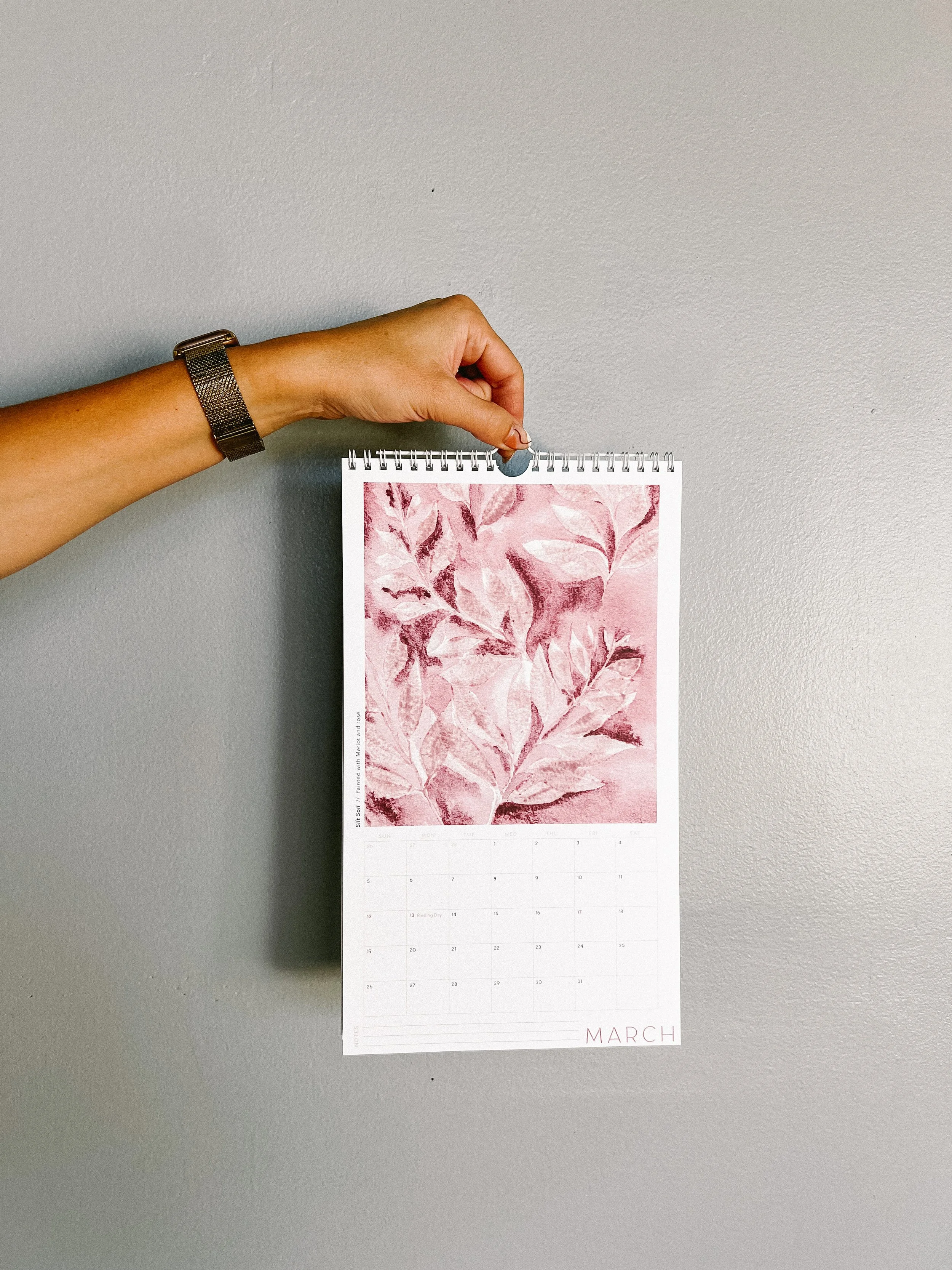 2023 calendar march hanging.JPG