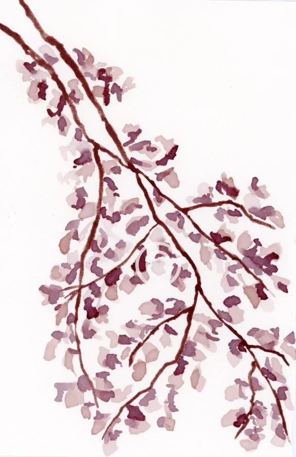 sakura full copyright.jpg