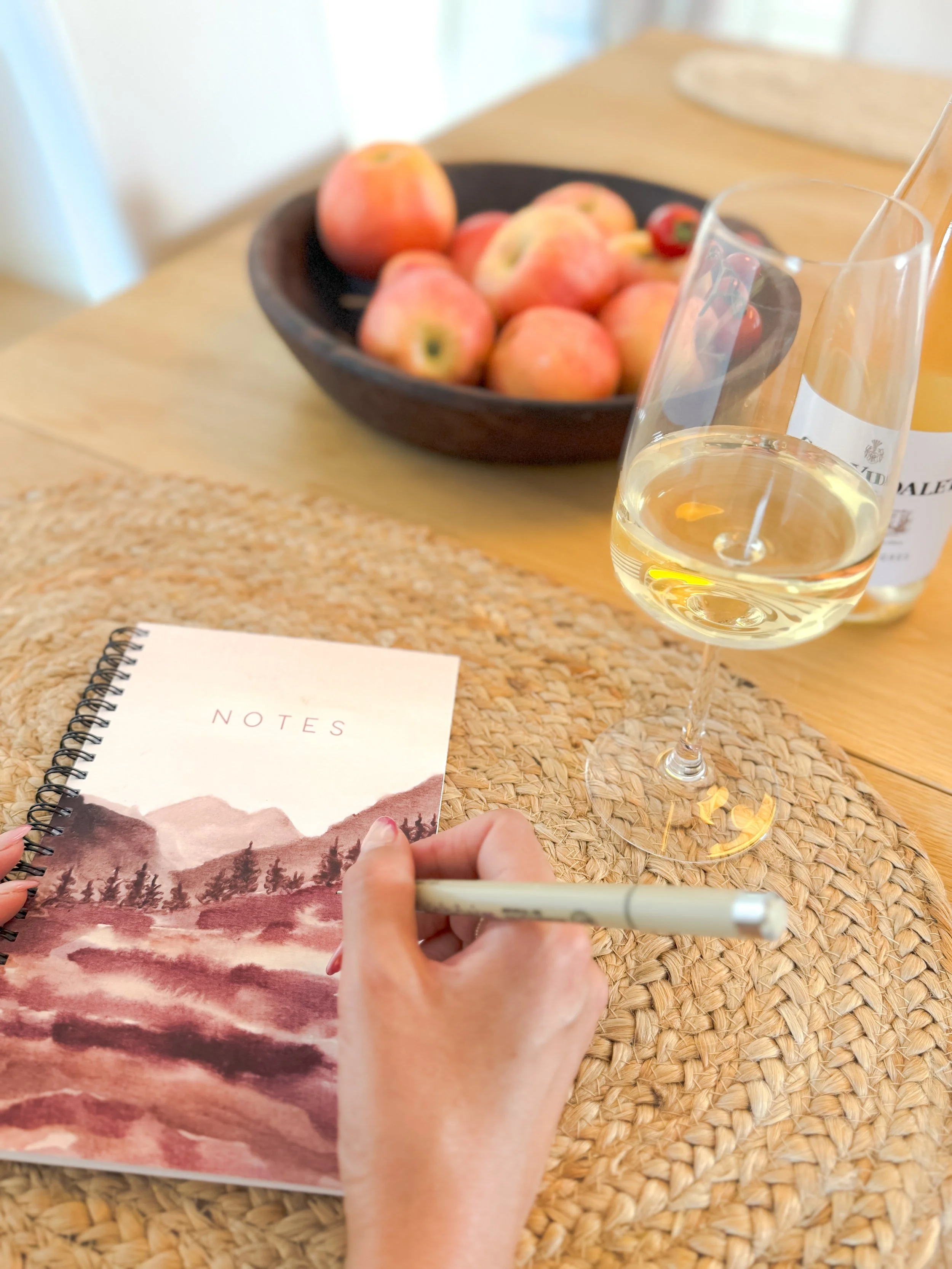 mushroom notebook spain.JPG