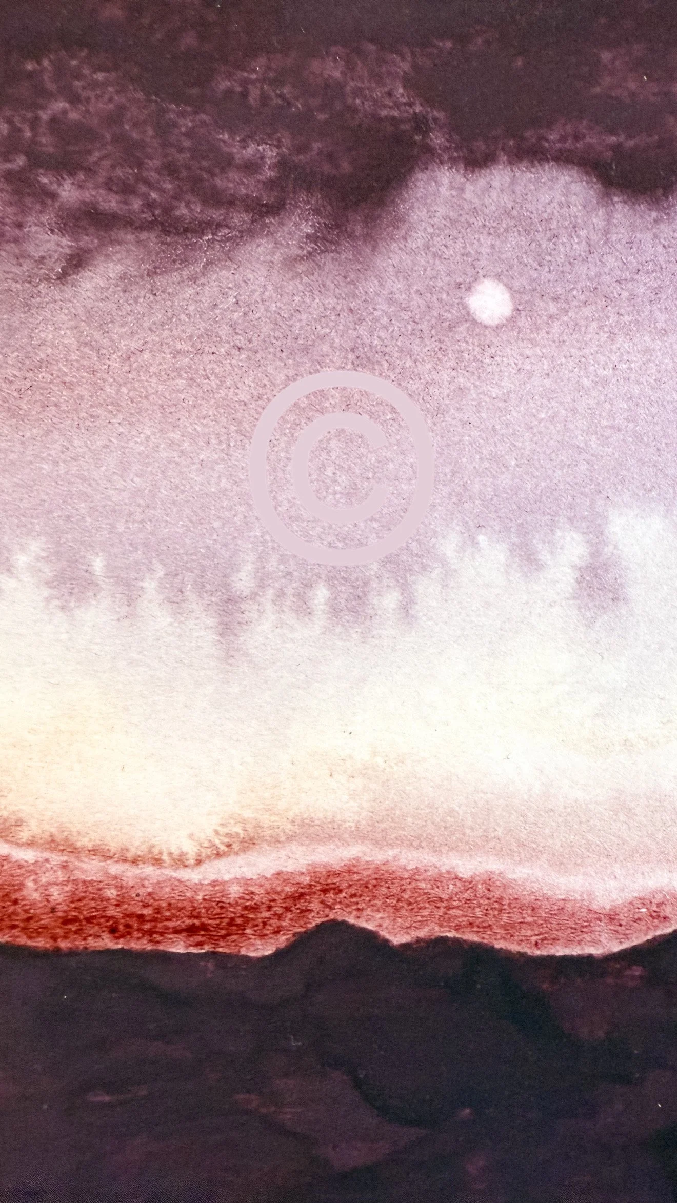 detail copyright dried earth.JPG