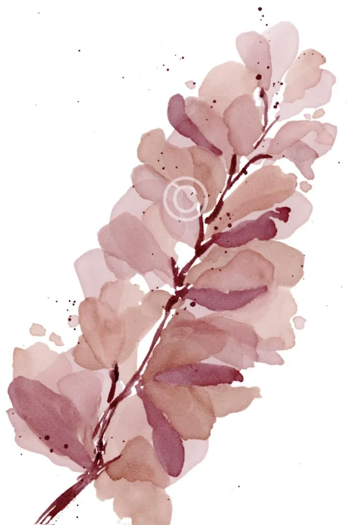 pinot petals full copright.jpg