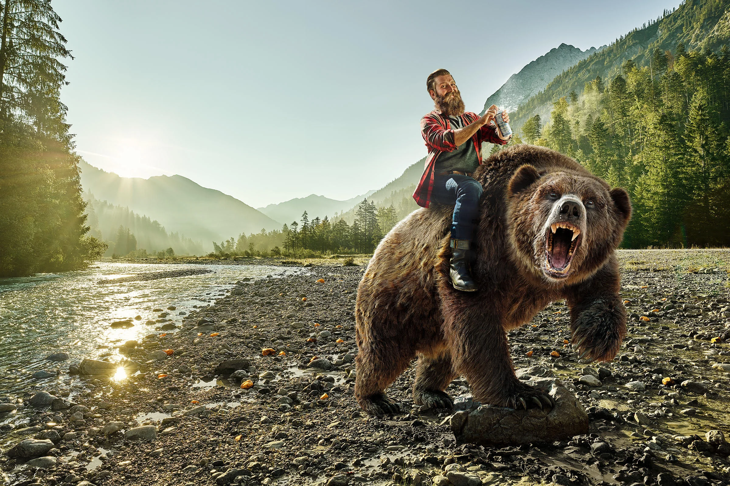 Bear.jpg
