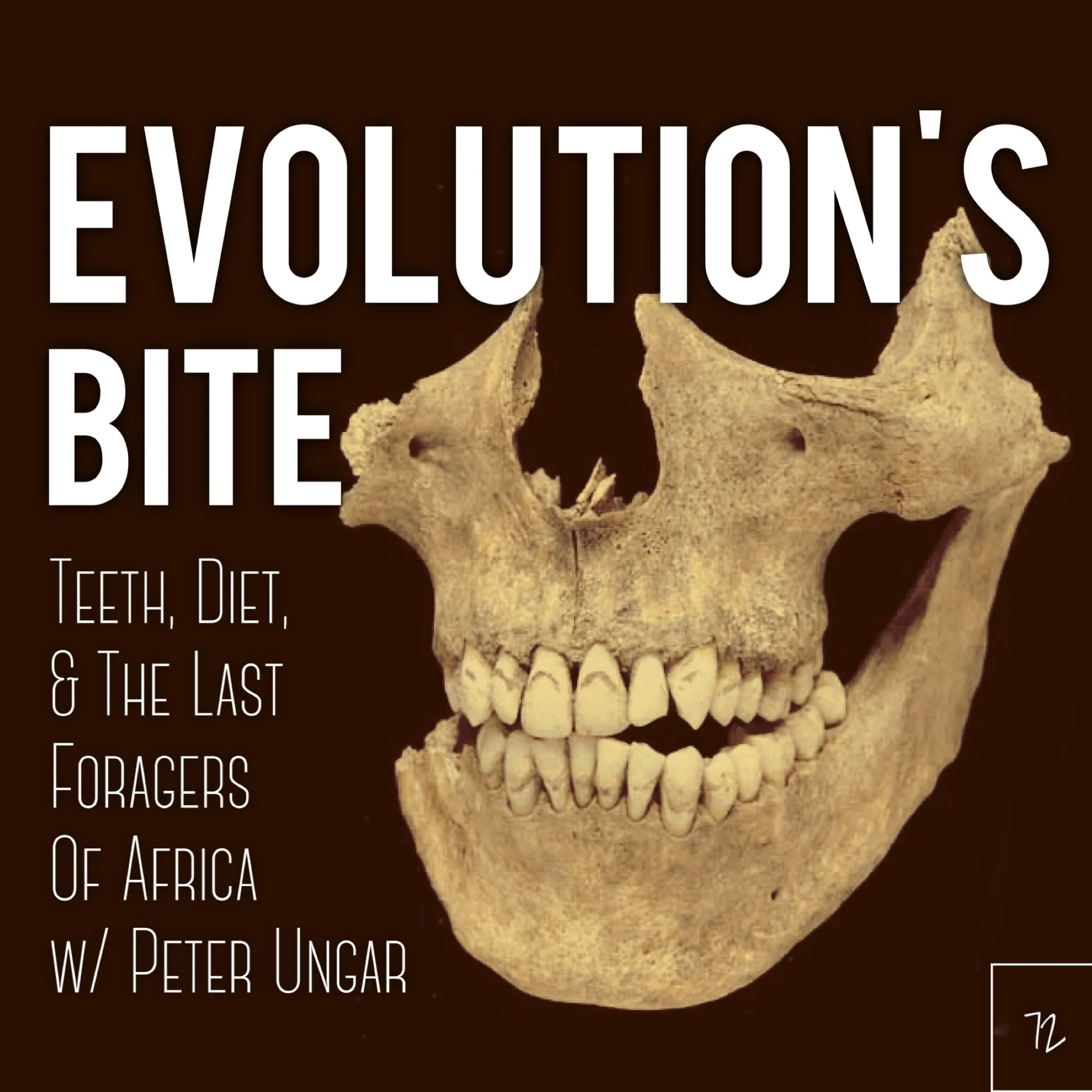 #72 | Evolution's Bite: Teeth, Diet, and The Last Foragers Of Africa w/ Peter Ungar