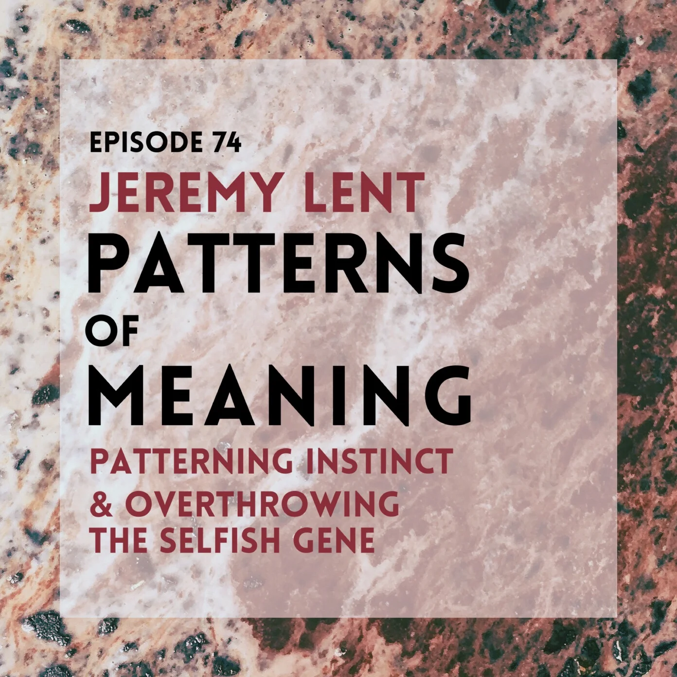 #74 | Patterns of Meaning: Jeremy Lent on The Patterning Instinct & Overthrowing The Selfish Gene
