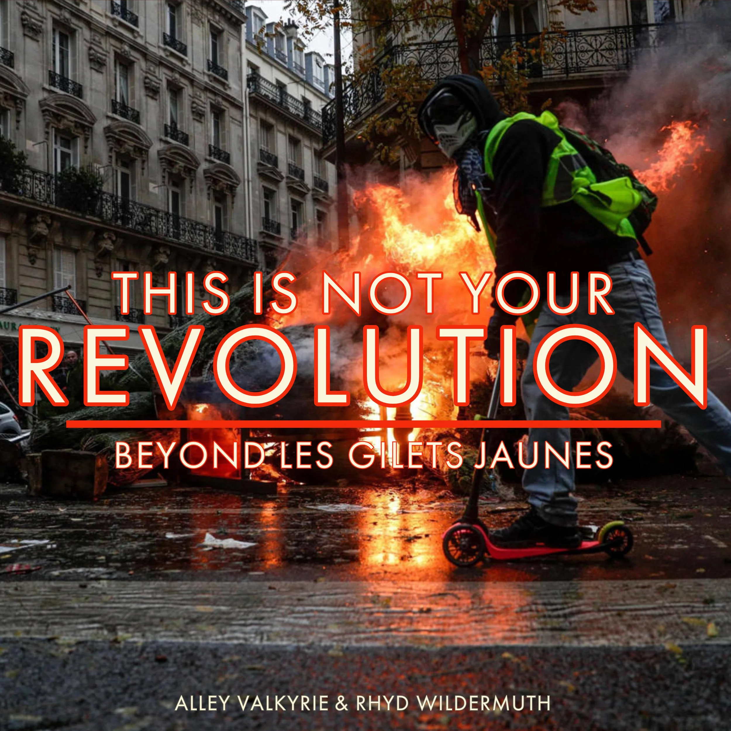 #162 | This Is Not Your Revolution: Beyond Les Gilets Jaunes w/ Alley Valkyrie & Rhyd Wildermuth