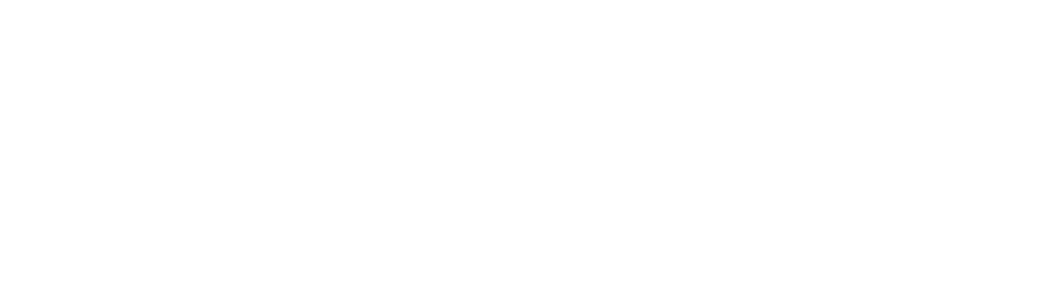 Political Human