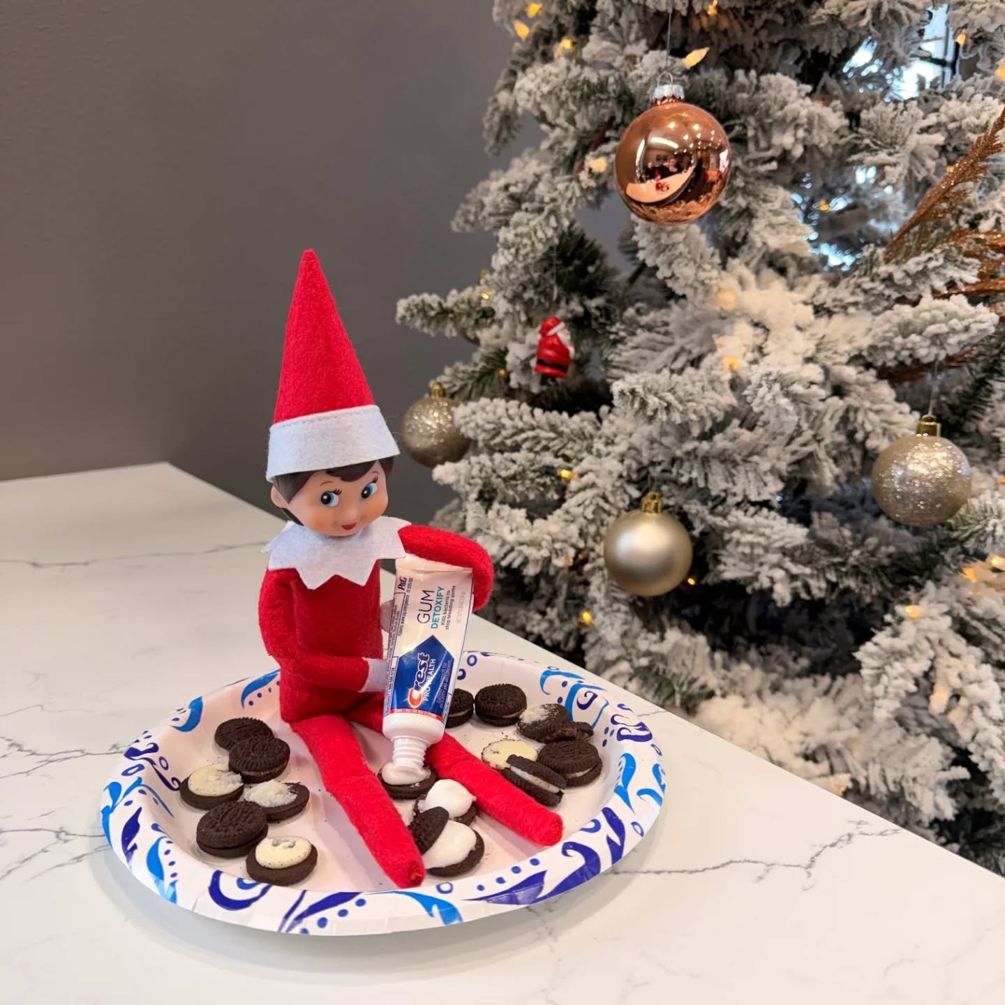 Good morning and Happy Monday! Flossy spent the weekend rockin' around the SCD Christmas tree! 🎄