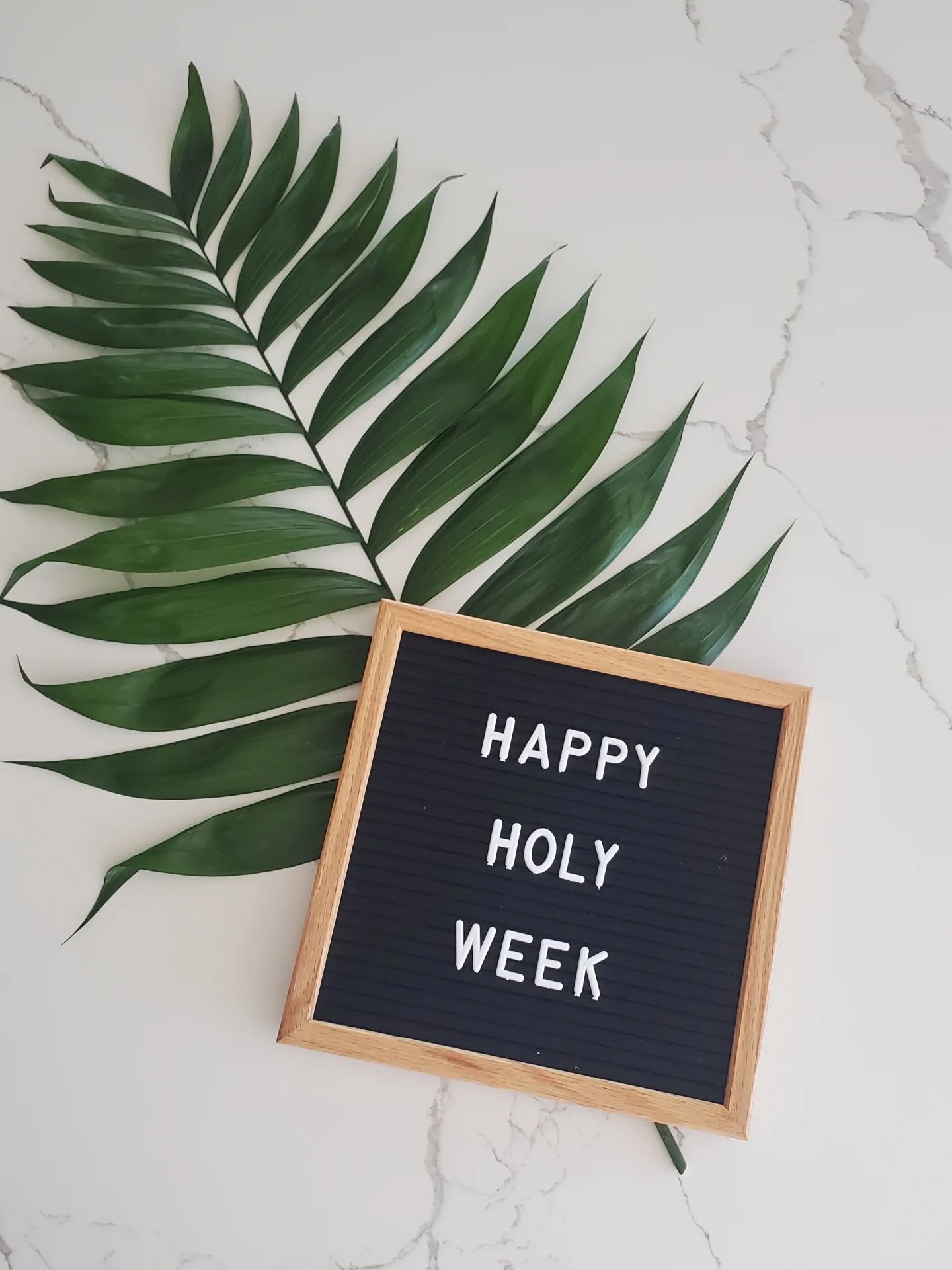 Hosanna! Hosanna! Blessed is the King of Israel! ✝️