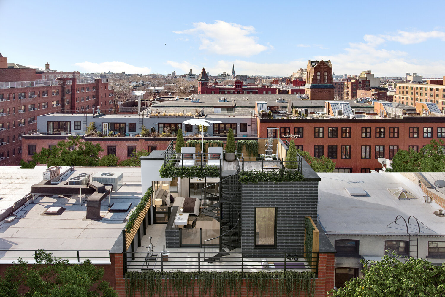 113 congress st, cobble hill town house roof.jpg