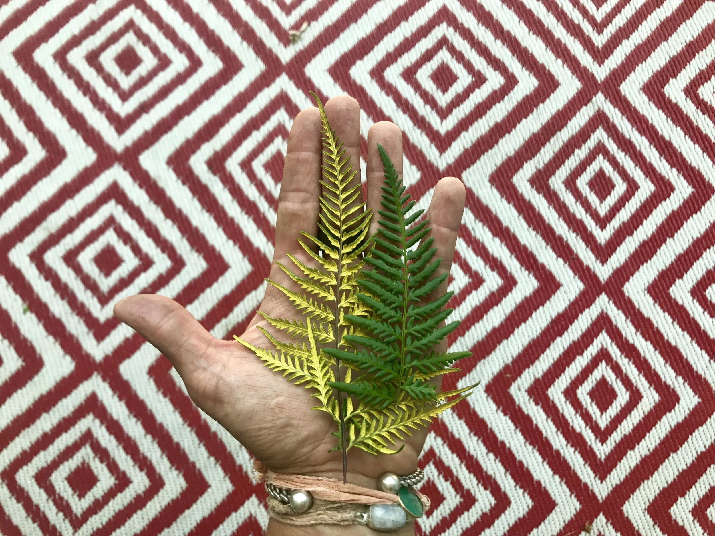 Makali'i