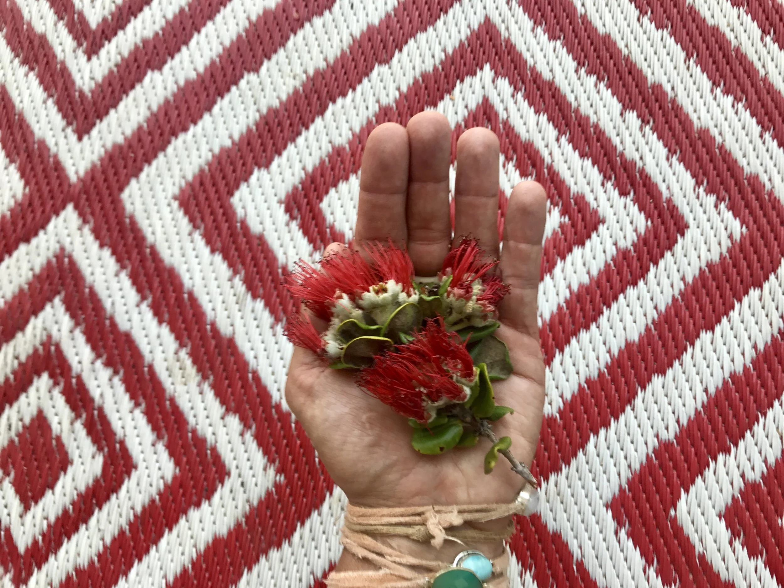 ʻōhiʻa Lehua