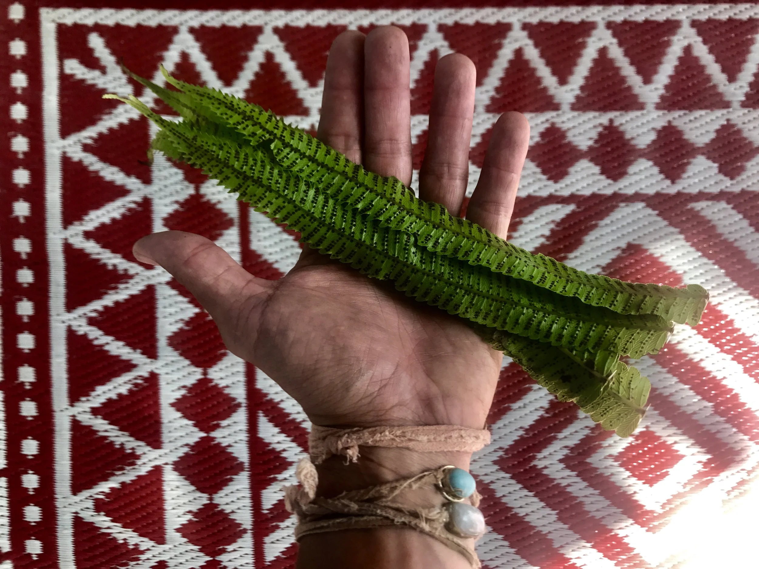 Kamapua'a