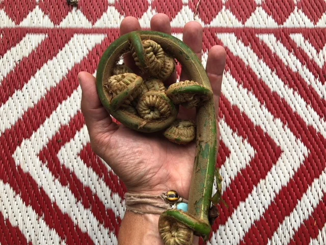 ʻAkolea