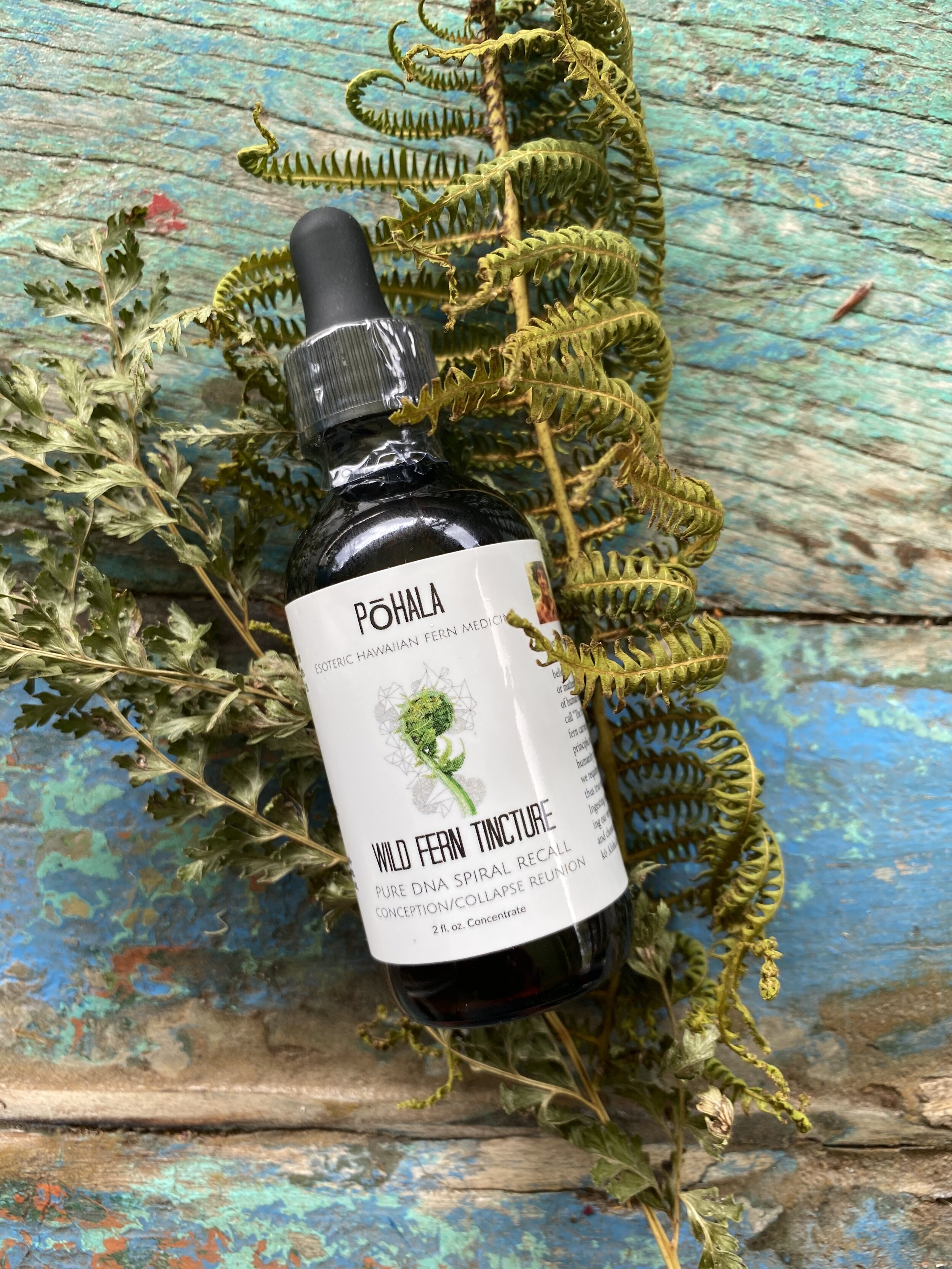 Wild Fern Medicinal Spagyric Tincture
