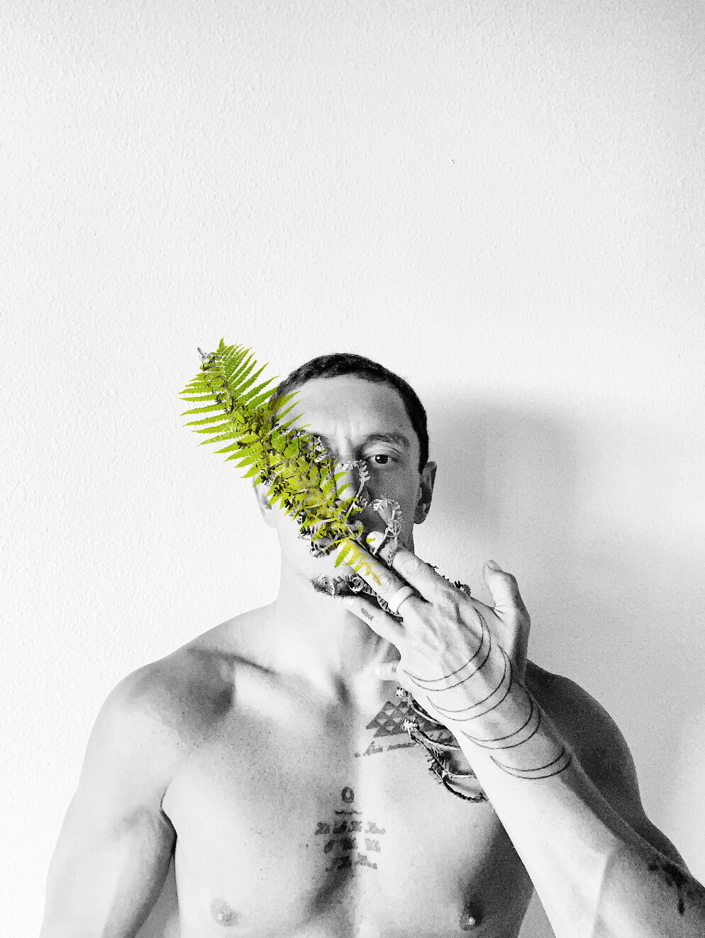 REPLAY The Emotional Series: WAIKAU FERN (Courage)