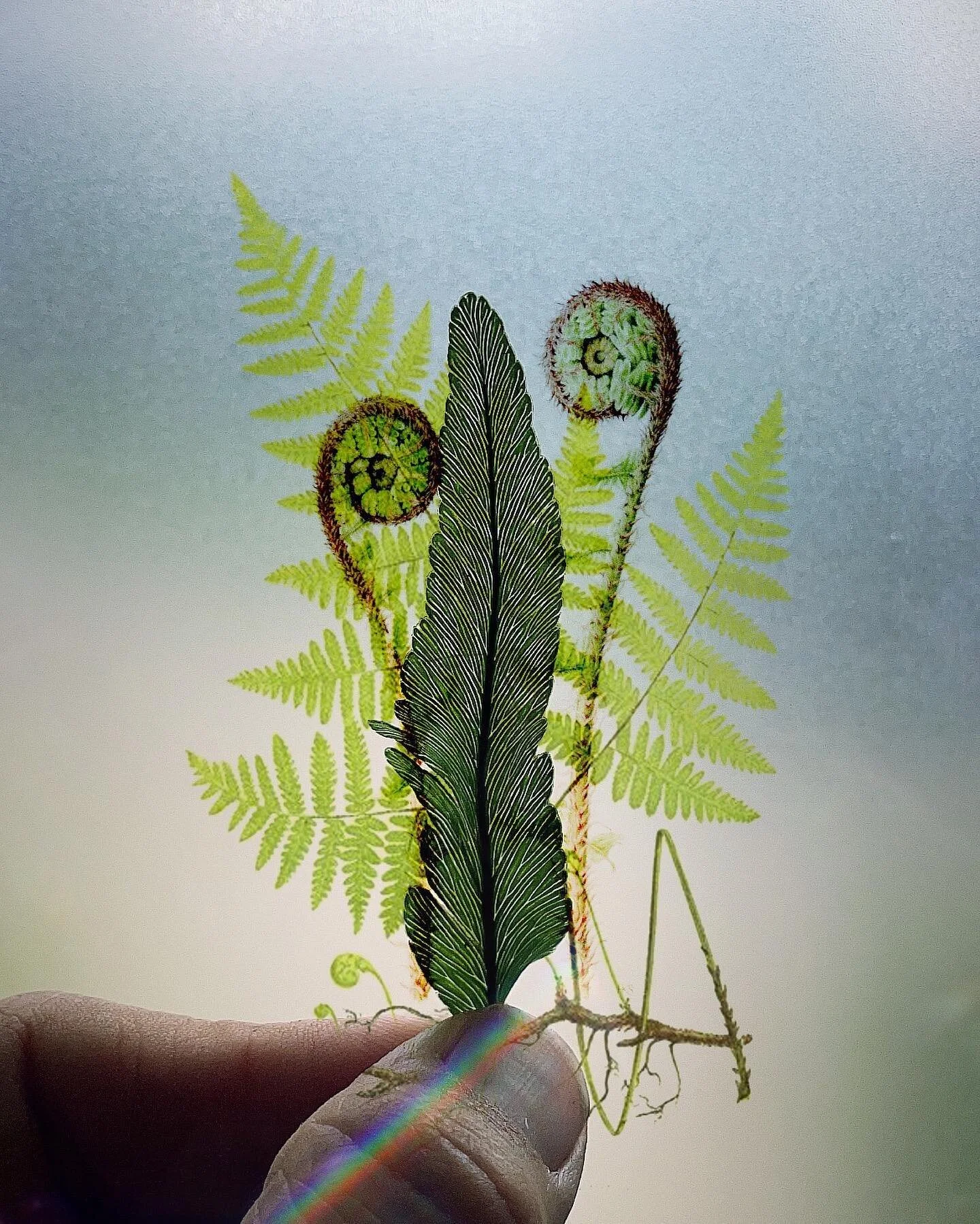 I’m holding our future right in my hand. 
It seems the people of the world are evenly split ~
There’s the traditionalist, who refuse to betray the antiquated systems
And there are the futurist who not only penetrate, but in many ways inv