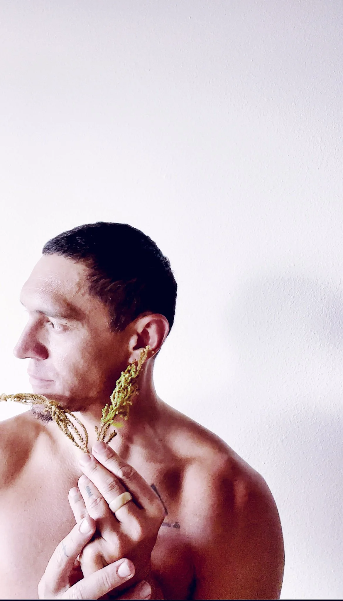 The Emotional Series: WĀWAE'IOLE fern (ACCEPTANCE)