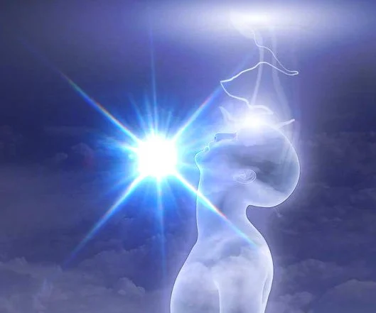 REPLAY: The Lineages Series ~ Sirius (A'ā)