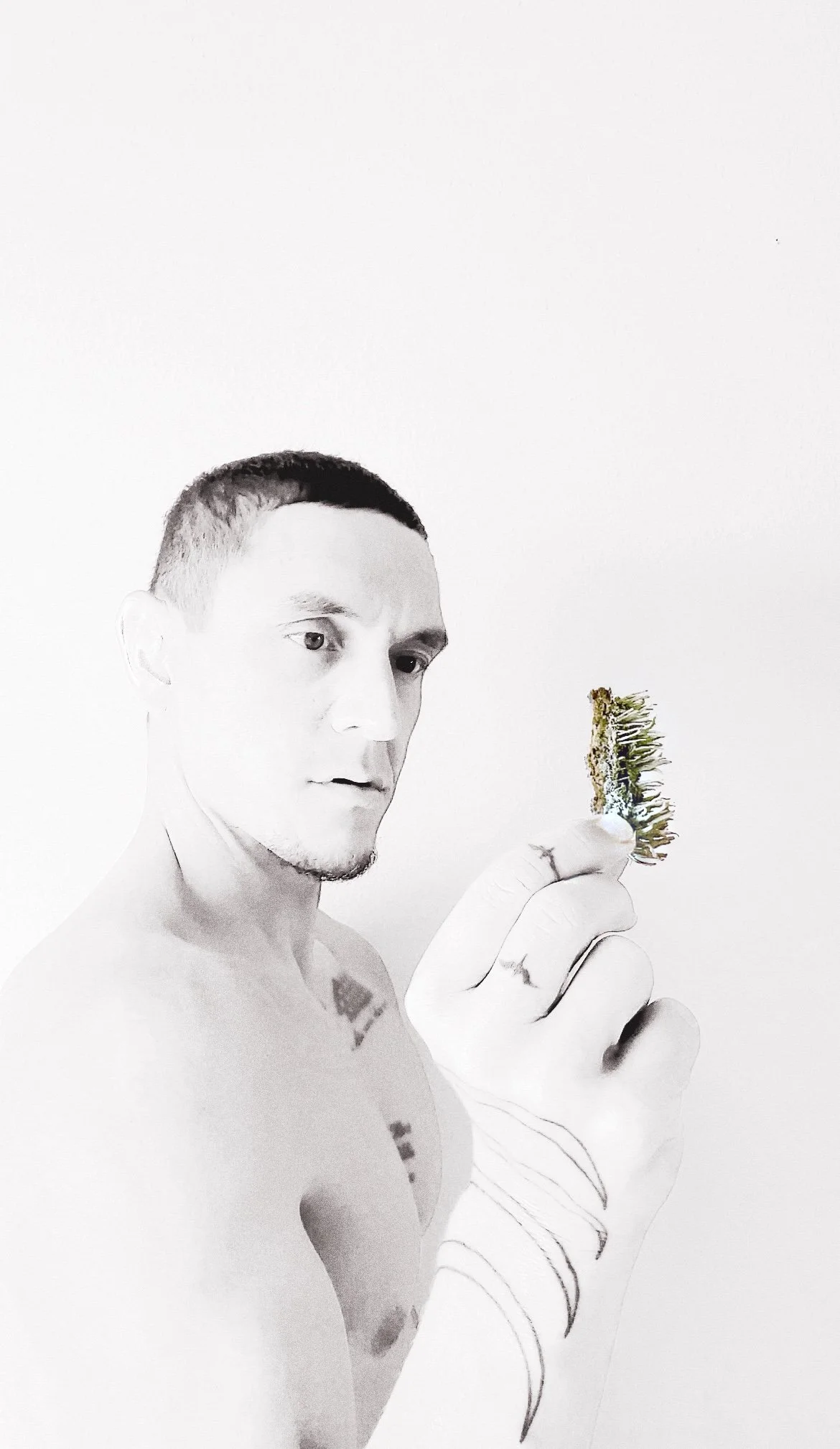 The Emotional Series: La'akea Lama (MAGIC)