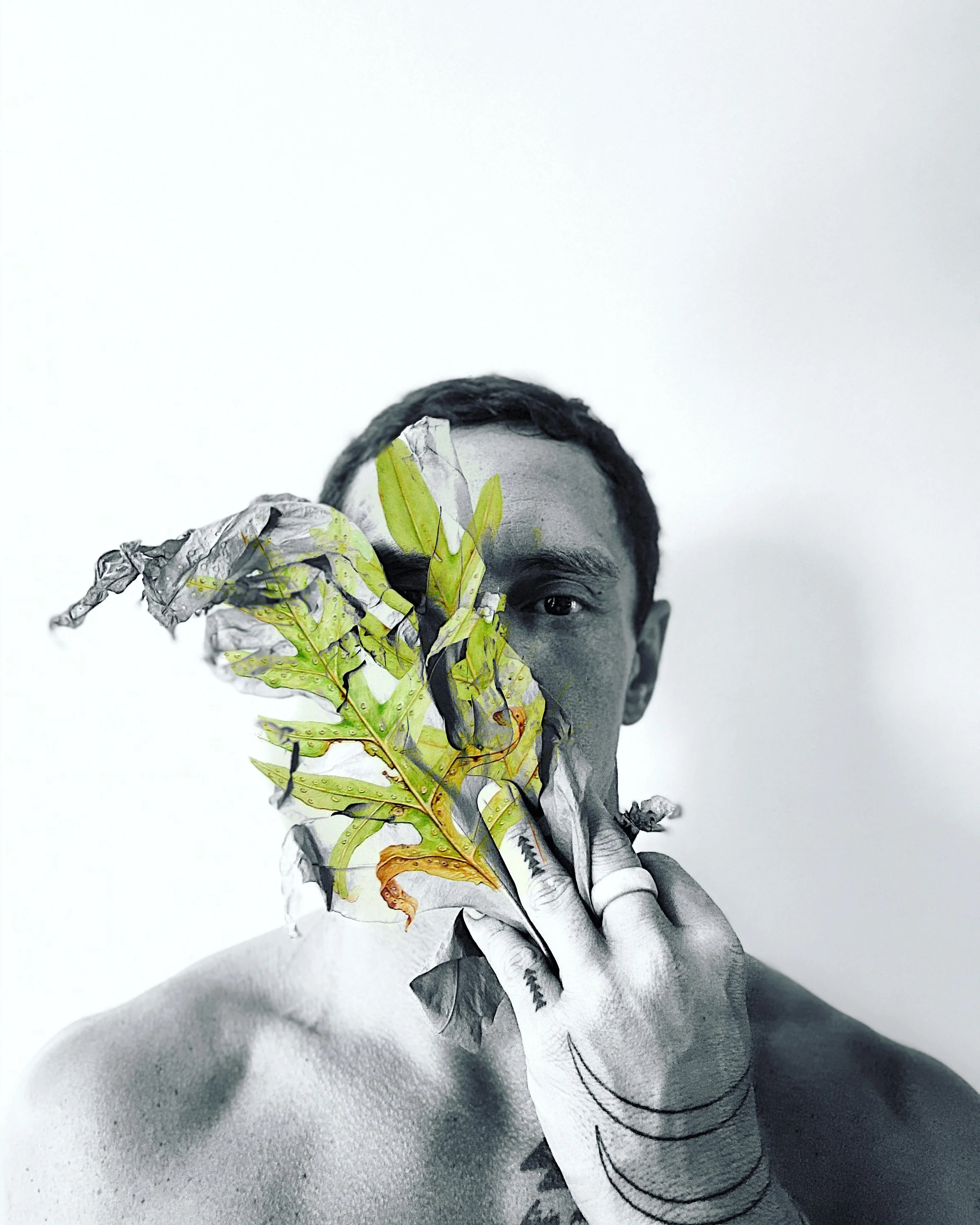 The Emotional Series: Laua'e fern (BEAUTY)