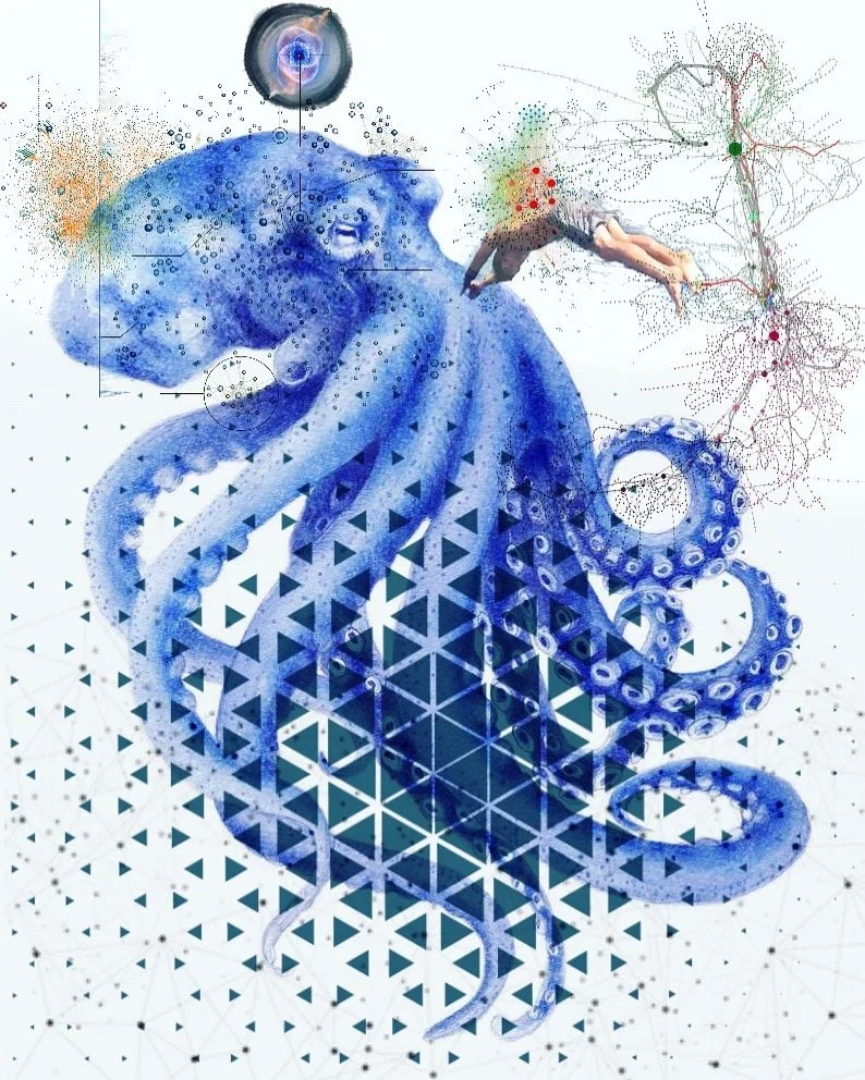 A Protocol of Legacy: Cosmic Genealogy