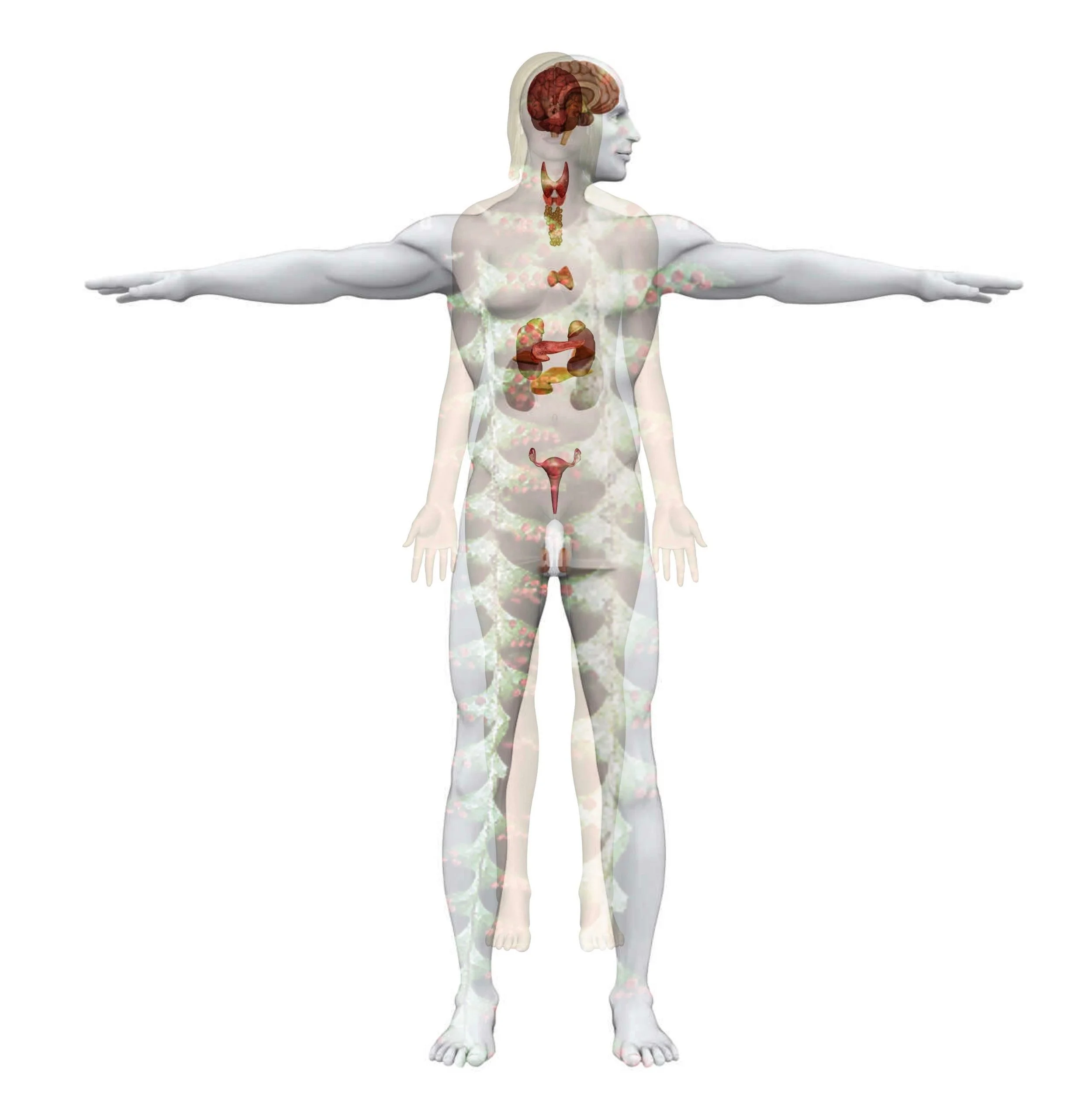 KIHI fern (Pandemonium) Community Gathering and Assessment