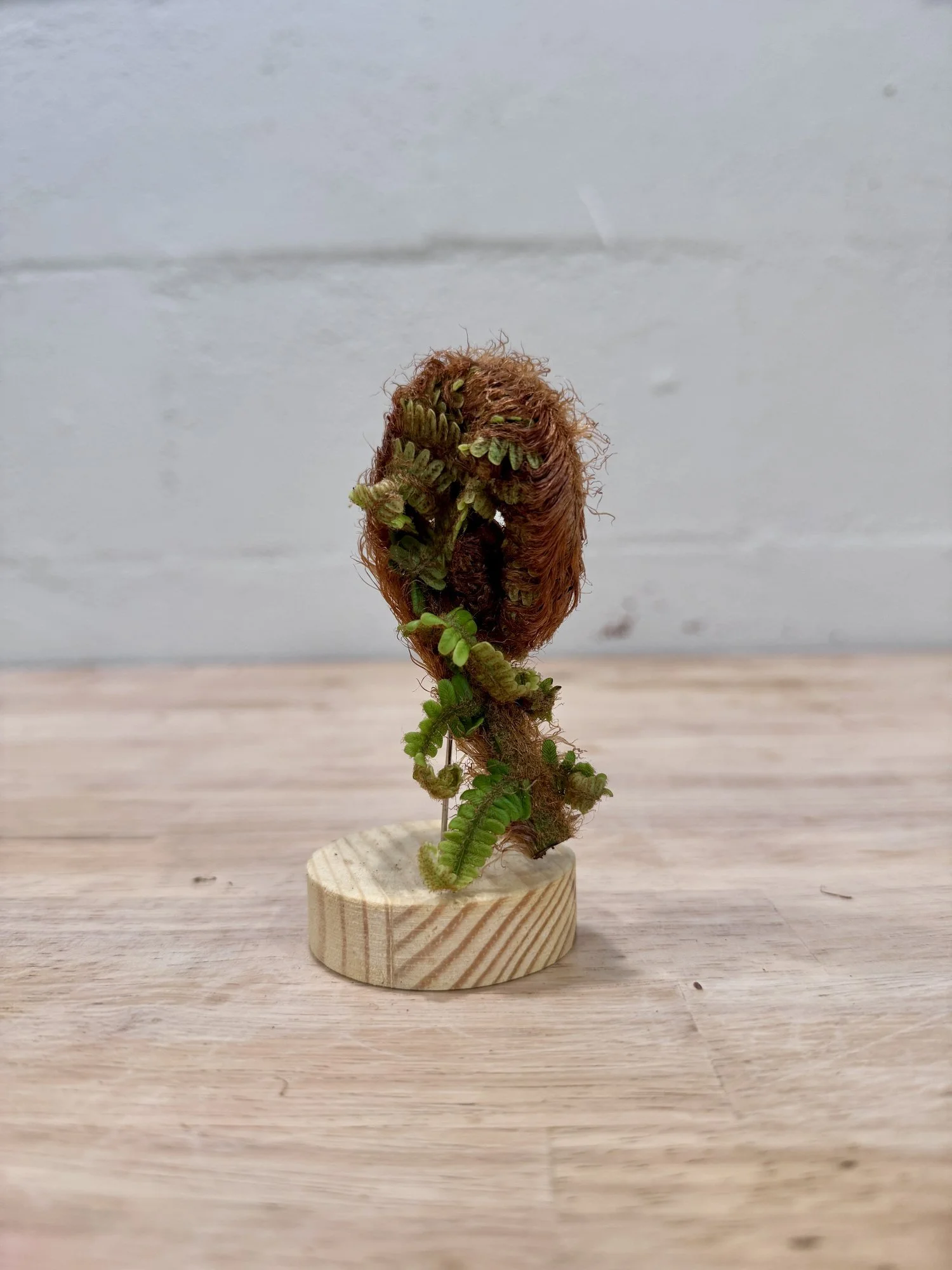 Waikau Fern ~ COURAGE