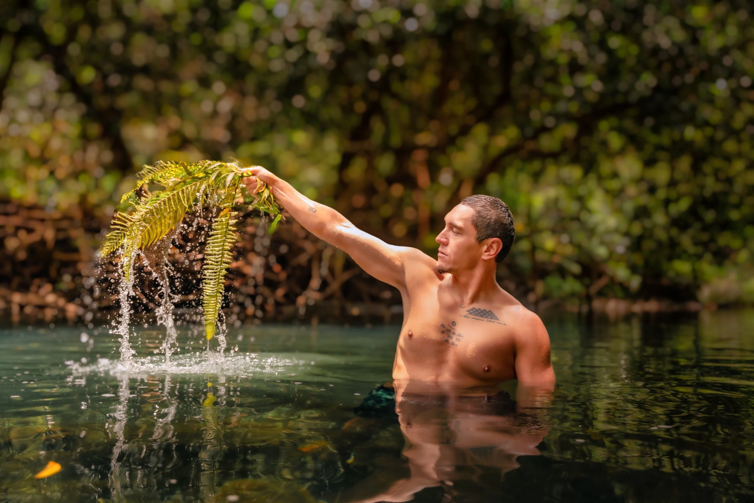 Pua'aehuehu ~ The Fern Immersion