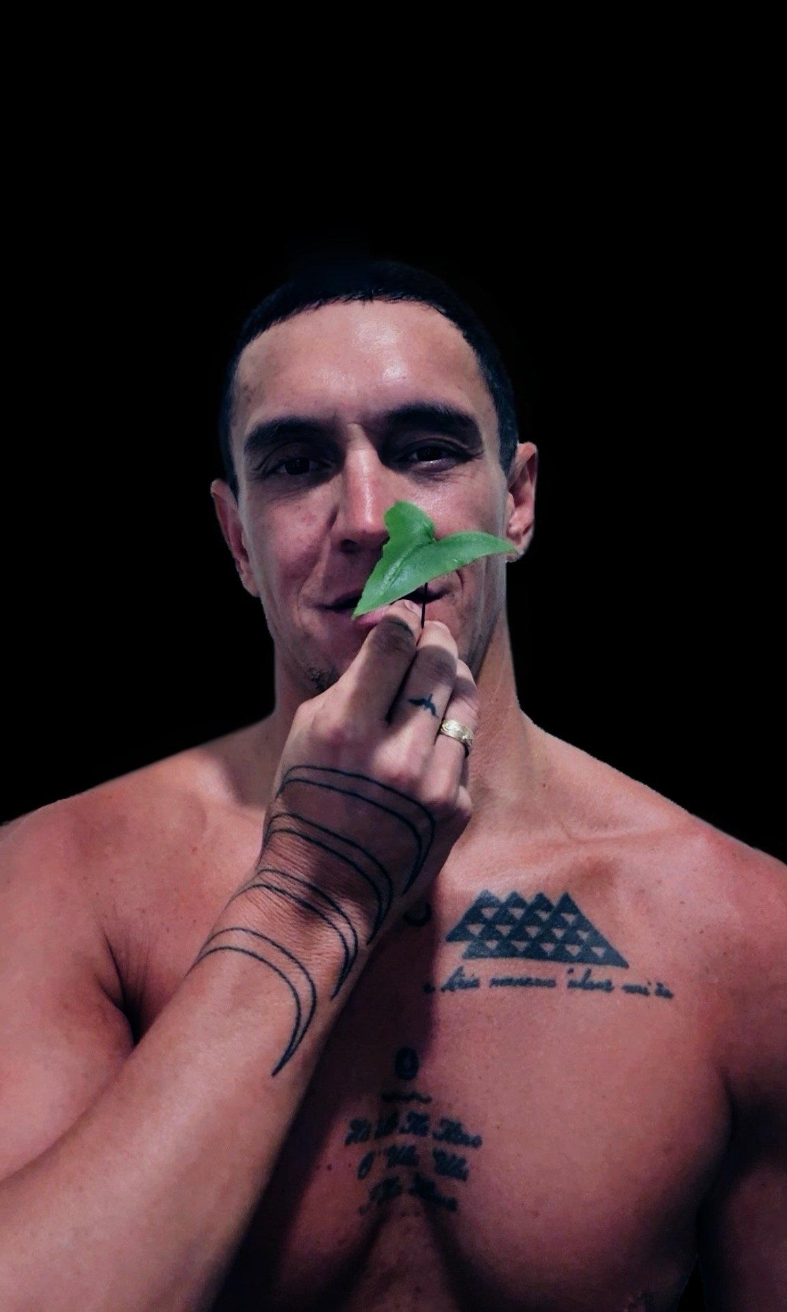 The Emotional Series: PE'AHI FERN (CHAOS)