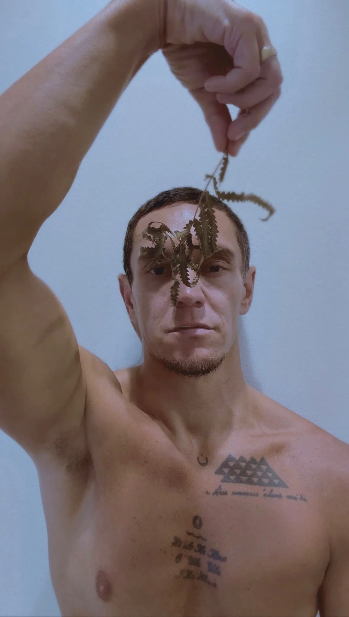 The Emotional Series NEKE FERN (CHARISMA)