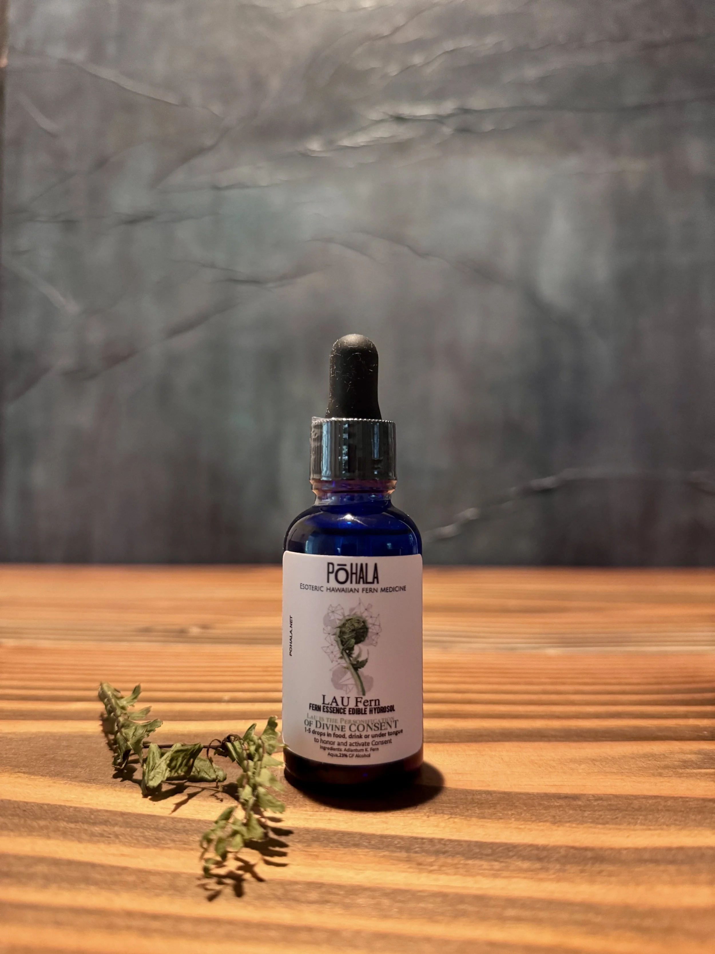 Lau Fern Essence Edible Hydrosol (CONSENT)