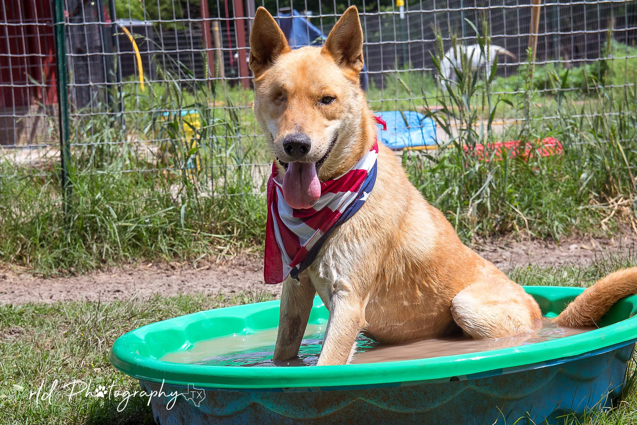 Ren Dowhaniuk - DSC_4487.jpg