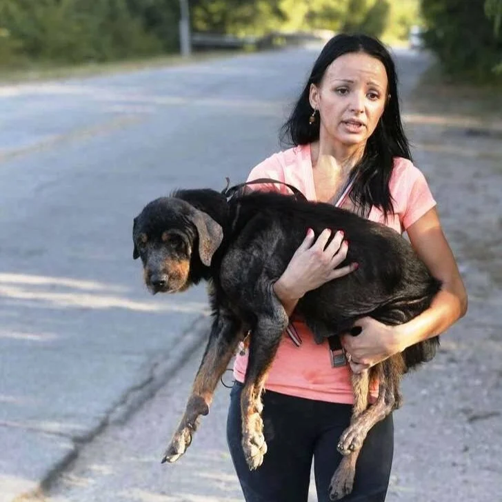 Rescue Our Mission — Dallas DogRRR Rescue.Rehab.Reform