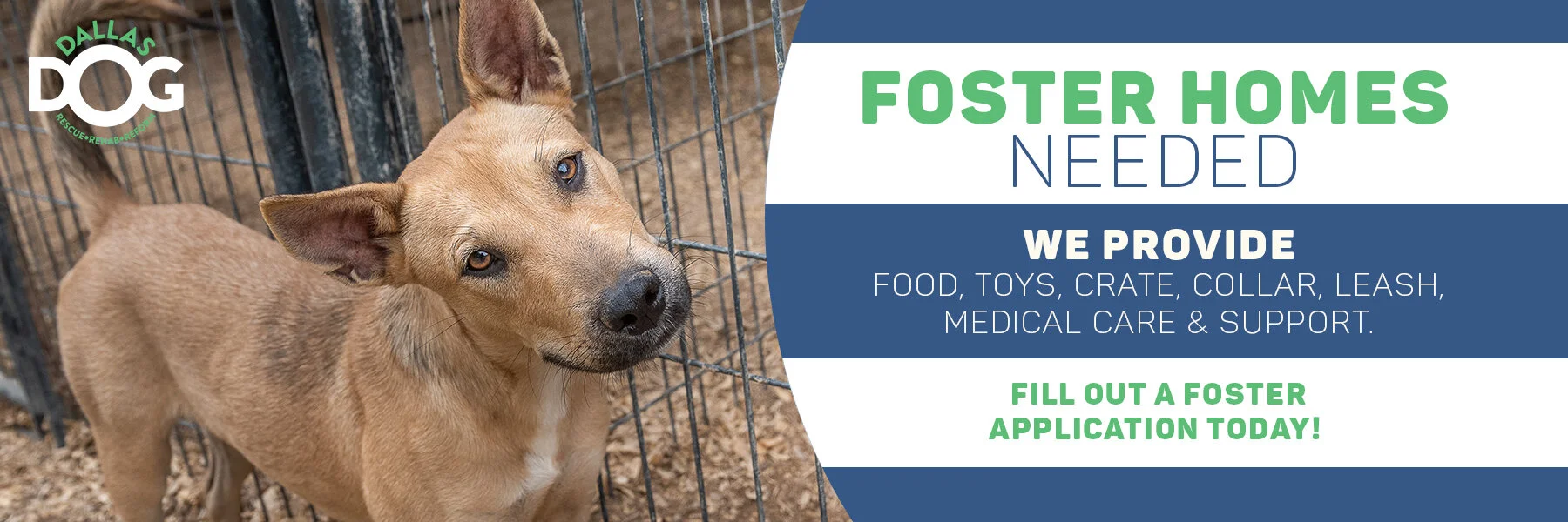 FOSTERS NEEDED_2020.jpg