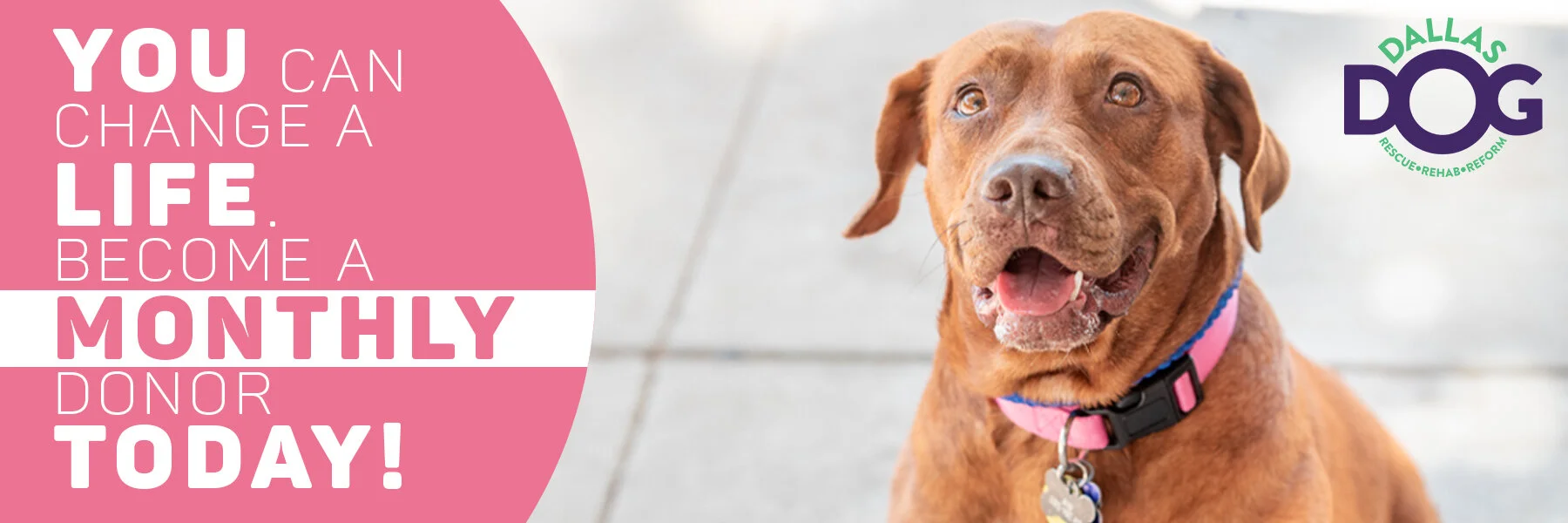 Dallas DogRRR Rescue.Rehab.Reform