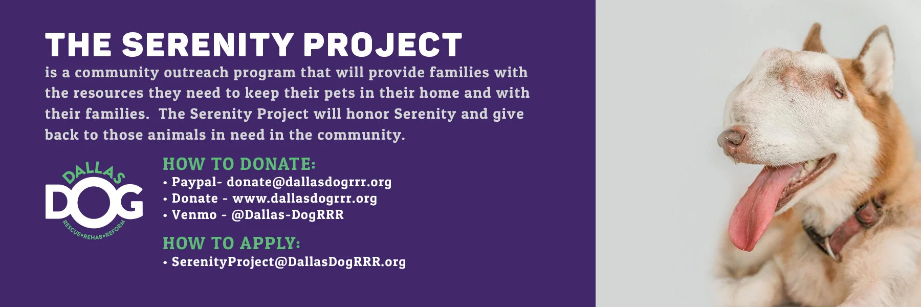 Website_Dallas Dog RRR Serenity Project Banner 1.jpg