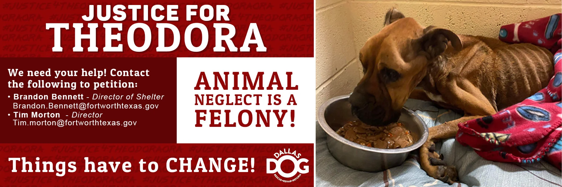 Theodora_webbanner copy.jpg