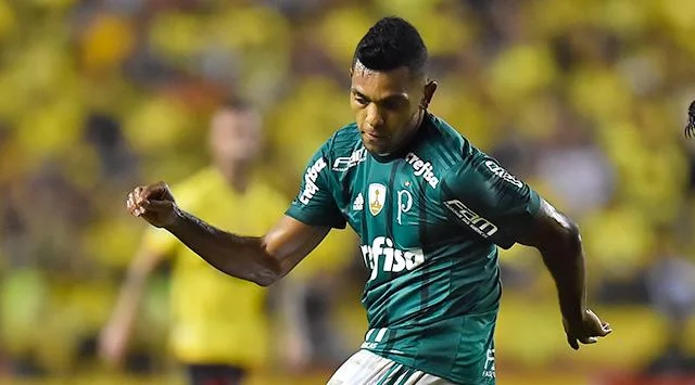 MIGUEL ÁNGEL BORJA LE DIO LA VICTORIA 0-1 A PALMEIRAS CONTRA BOTAFOGO
